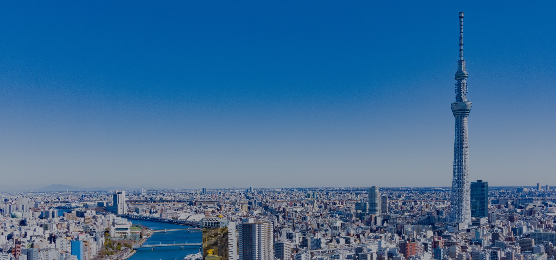 メインビジュアル